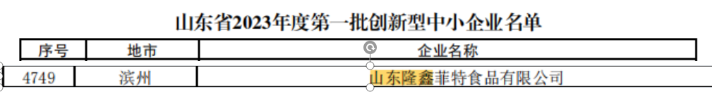 子公司菲特公司榮獲“市級創(chuàng  )新性中小企業(yè)”稱(chēng)號